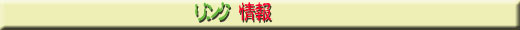 年間イベント情報